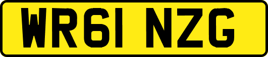 WR61NZG