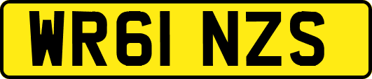 WR61NZS