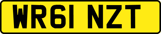 WR61NZT