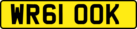 WR61OOK