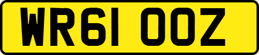WR61OOZ