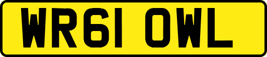 WR61OWL
