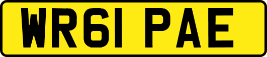 WR61PAE