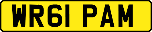 WR61PAM