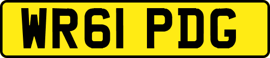 WR61PDG
