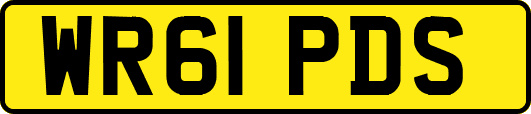 WR61PDS