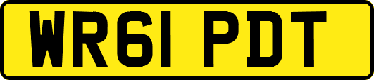 WR61PDT