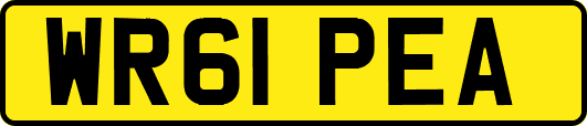 WR61PEA