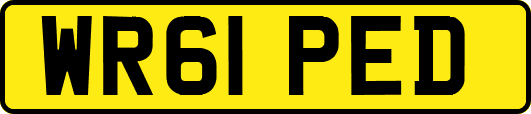 WR61PED