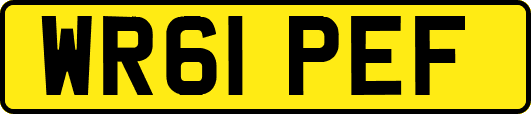 WR61PEF