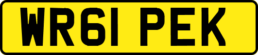 WR61PEK