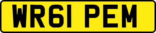 WR61PEM