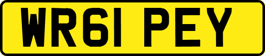 WR61PEY