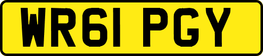 WR61PGY