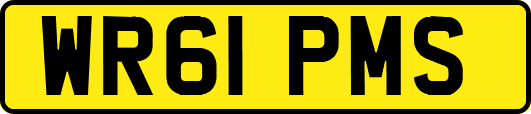 WR61PMS