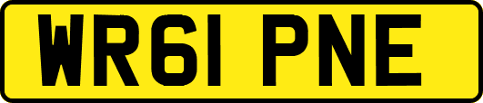 WR61PNE