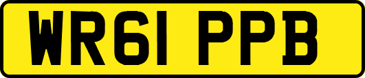 WR61PPB