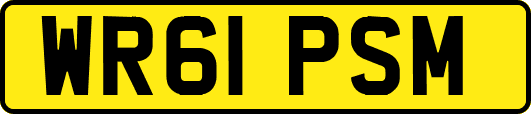 WR61PSM