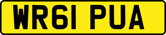 WR61PUA