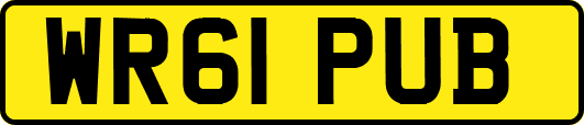 WR61PUB
