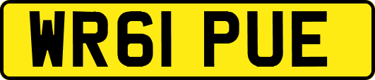 WR61PUE