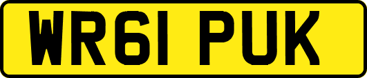 WR61PUK