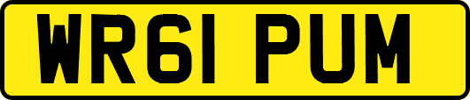 WR61PUM