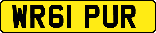 WR61PUR