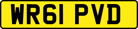WR61PVD