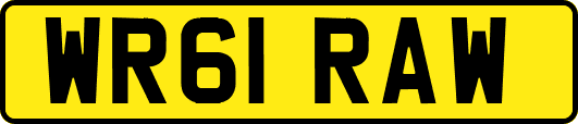 WR61RAW