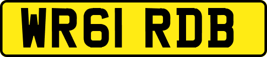 WR61RDB