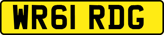 WR61RDG
