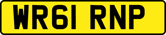 WR61RNP
