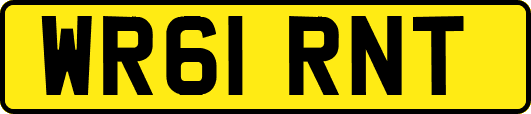 WR61RNT