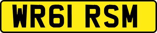 WR61RSM