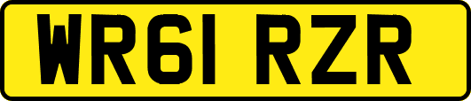 WR61RZR