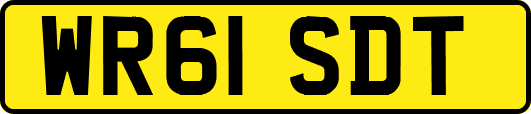 WR61SDT