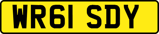 WR61SDY