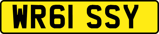 WR61SSY