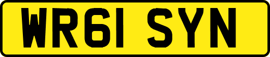 WR61SYN