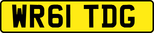 WR61TDG