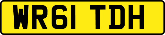 WR61TDH