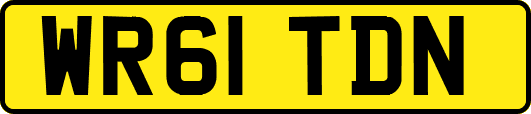 WR61TDN