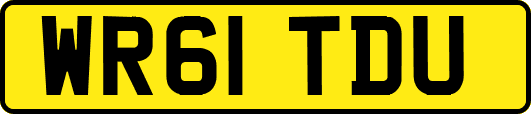 WR61TDU
