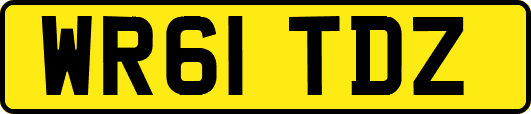 WR61TDZ