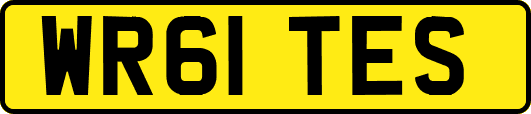 WR61TES