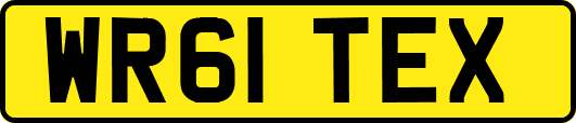 WR61TEX
