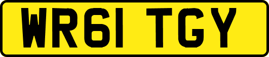 WR61TGY