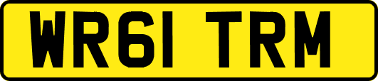 WR61TRM