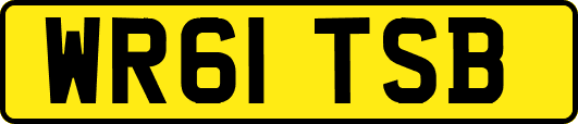 WR61TSB